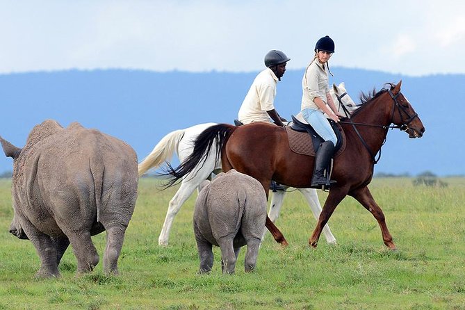 Ol Pejeta Conservancy Day Tour From Nairobi - Conservation Efforts