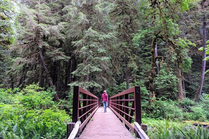 Olympic National Park Luxury Small-Group Day Tour With Lunch - Accessibility and Age Requirements