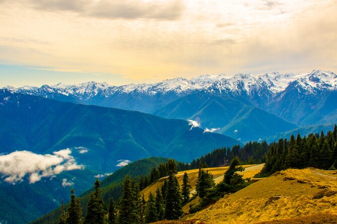 Olympic National Park Self-Guided Driving Audio Tour - Enhancing Your Experience