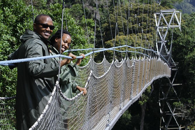 One Day Nyungwe National Park Tour& Canopy Walk (2 Pax Min) - What to Expect