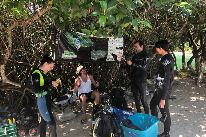 Open Water Course in Cenote & Ocean + 1 Cenote Dive From Playa Del Carmen - Traveler Reviews