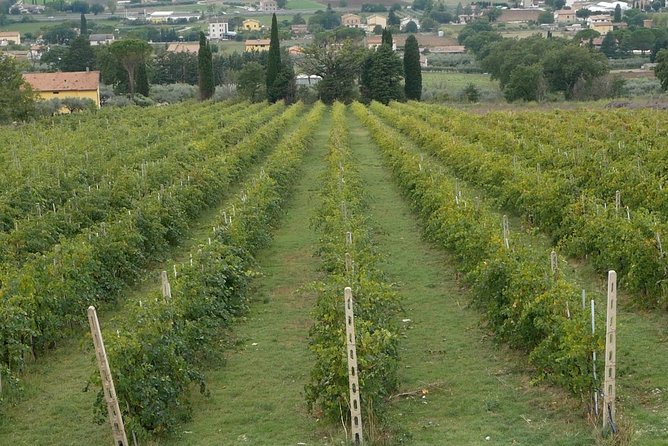 Organic Winery Tour With Full Lunch From Assisi - Tour Inclusions and Booking