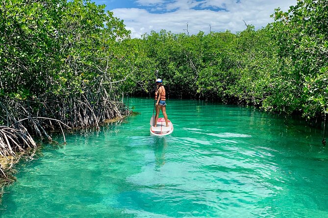 Paddleboard Kayak Tour in Cancun - Guest Reviews
