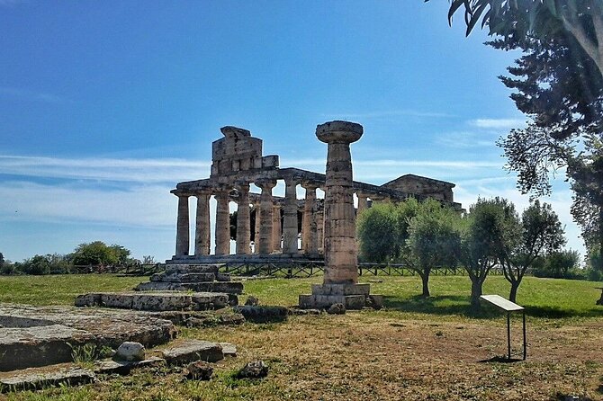Paestum Park and Bufalo Farm Day Tour From Sorrento - The Sum Up