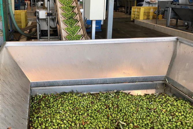 Palermo Private Olive Oil and Selinunte Site Tour - Customer Reviews and Ratings