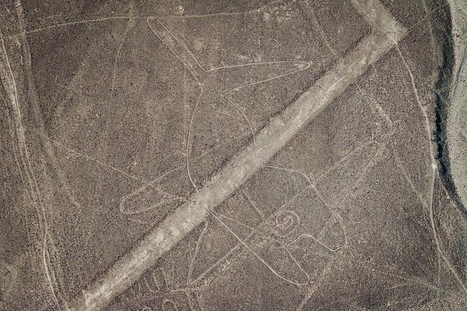 Paracas Shore Excursion: Nazca Lines Tour - Experiencing the Nazca Lines
