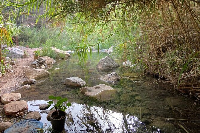 Paradise Valley and Atlas Mountains Adventure in Agadir - Recommended Activities Nearby