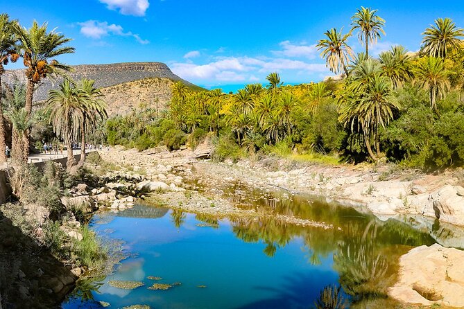 Paradise Valley and Desert Dunes Trip From Agadir & Taghazout - Tips for an Enjoyable Experience
