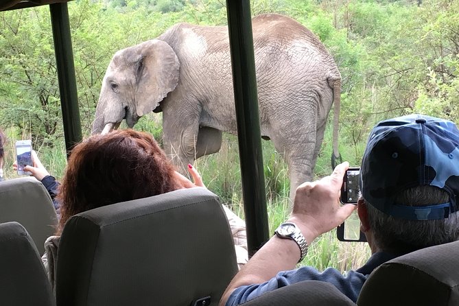 Pilanesberg National Park Safari From Johannesburg - Frequently Asked Questions