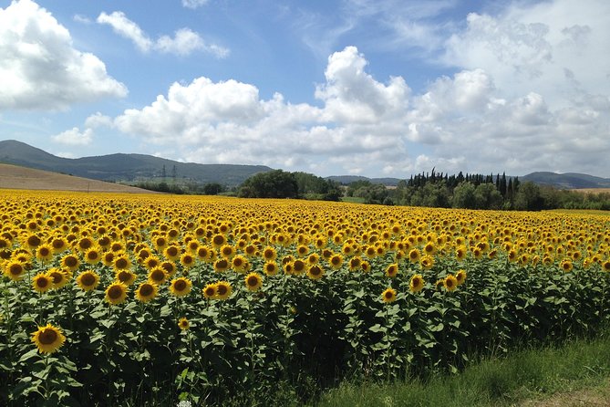 Pisa, Lucca and Tuscany Tour From Livorno - Frequently Asked Questions