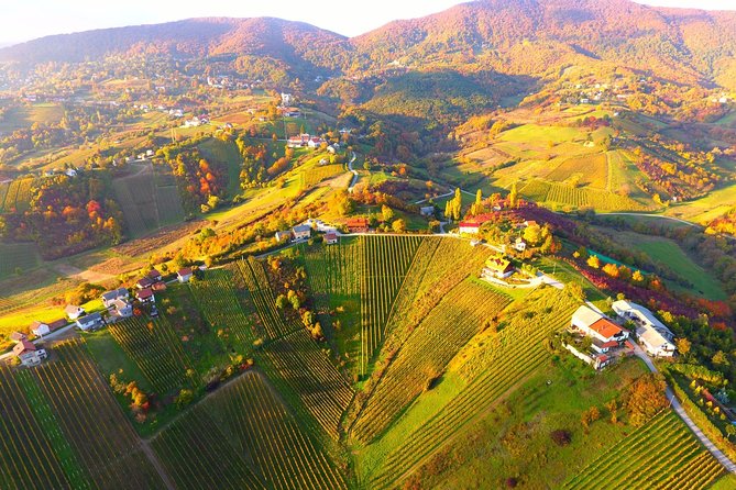 Plesivica Region Wine Tasting Half-day Tour - Additional Information for Travelers