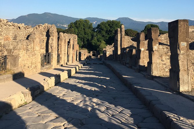 Pompeii and Herculaneum With Archaeologist, Small Group of 10!!! - The Sum Up