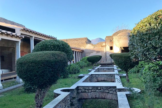 Pompeii Tour With Ticket INCLUDED and Expert Guide - Customization and Modifications
