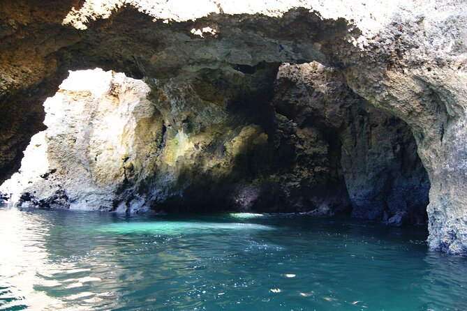 Ponta Da Piedade Costal Cruise and Caves-2h - Tour Highlights and Expectations