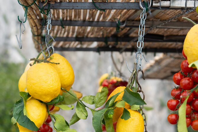 Positano Walking Tour With a Local Guide - Client Reviews and Testimonials