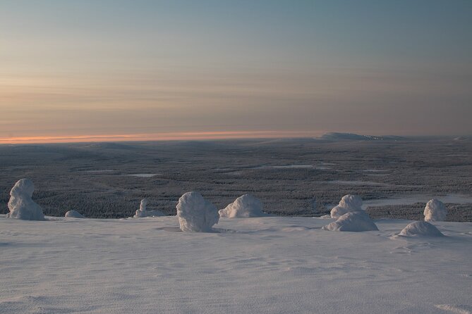 Premium Snowshoeing in Pyhä-Luosto National Park - Frequently Asked Questions