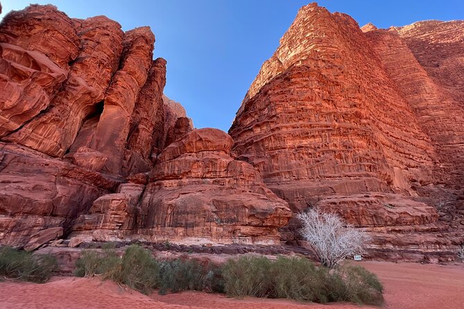 Private 1 Day Wadi Rum Desert Tour - Cancellation and Payment Options