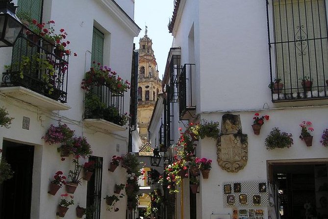 Private 10-Hour Tour to Cordoba From Malaga Hotel Pick up and Drop off - The Alcazar of Cordoba