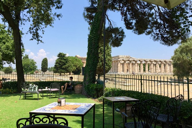 Private 2 Hour Paestum Tour - Booking and Accessibility