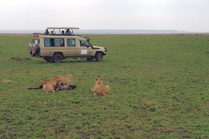 Private 5 Day Maasai Mara With Lake Nakuru and Lake Naivasha Tour - Frequently Asked Questions