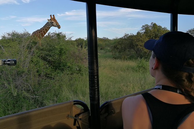 Private 5-Day Overnight Safari in Kruger Park From Skukuza Airport - Health and Accessibility