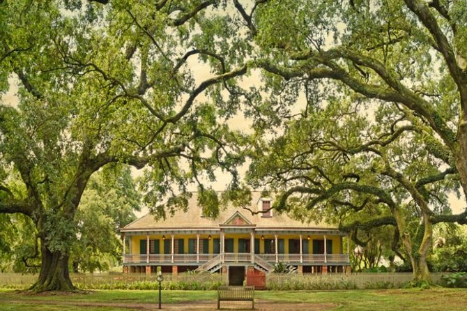 Private Airboat Ride and Plantations Tour With Gourmet Lunch From New Orleans - Exploring Cajun and Creole Culture