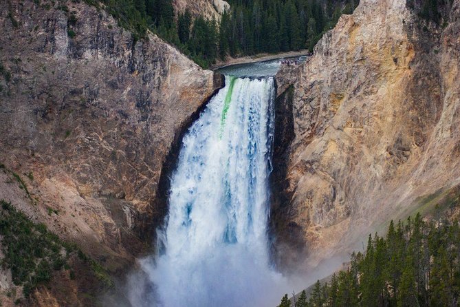 Private All-Day Tour of Yellowstone National Park (Upper Loop) - Why Choose This Tour