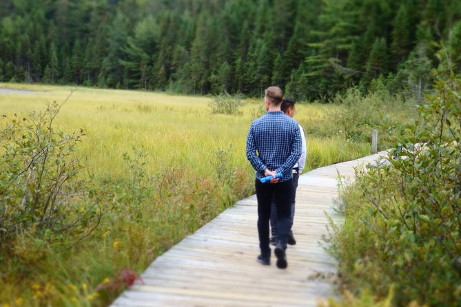 Private All-Inclusive Algonquin Tours (3 Day Guided Camping) - Pricing and Cancellation Policy