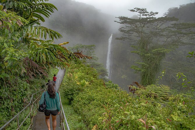 Private - All Inclusive Big Island Waterfalls Tour - Customer Reviews