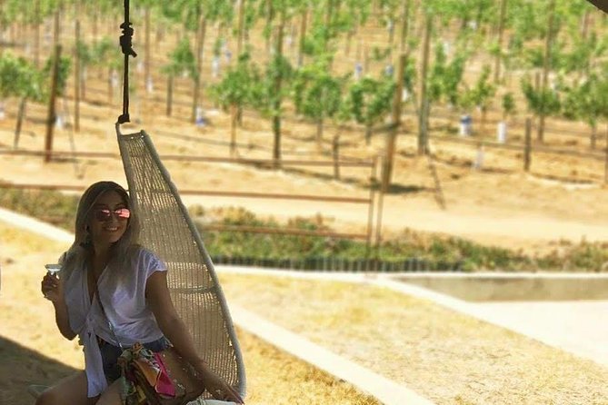 Private and Custom Group Wine Tour Valle De Guadalupe - Booking and Availability