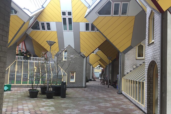Private Architecture Tour of Rotterdam - Local Knowledge and Insights