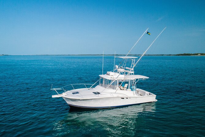 Private Bahamas Half-Day Fishing Tour From New Providence - Tour Experience