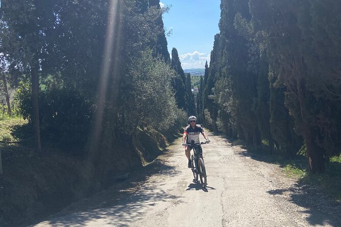 Private Bike Tour of Vinci Town and Countryside - Ask Away