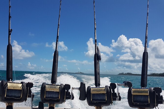 Private Charter for Snorkeling, Swimming Pigs, Turtles & Fishing.... - Highlights and Key Activities