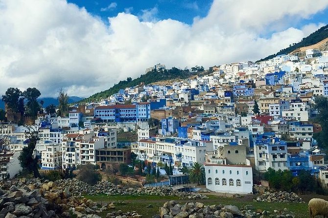 Private Chefchaouen Day Trip From Fez - Memorable Experiences in Chefchaouen