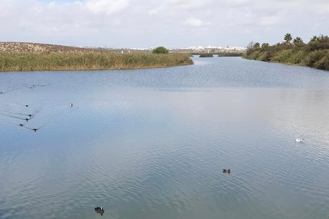 Private City Tour of Albufeira - Landmarks and Cultural Highlights
