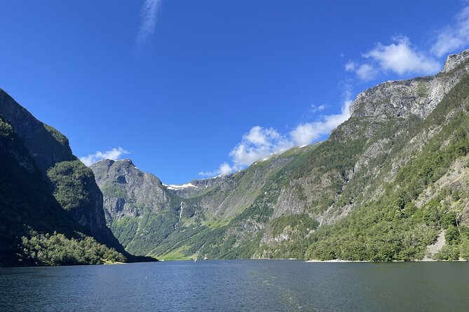 Private Cruise to Sognefjord, Flåm and Nærøyfjord - Maximize Your Fjord Experience