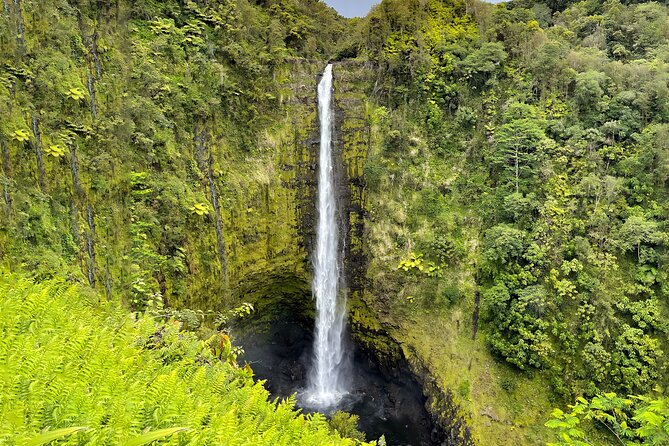 Private Custom Van Full-Day Guided Tour on Big Island of Hawaii - Things To Known