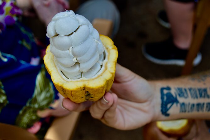 Private Customized Oahu Full Day Tour - Things To Known