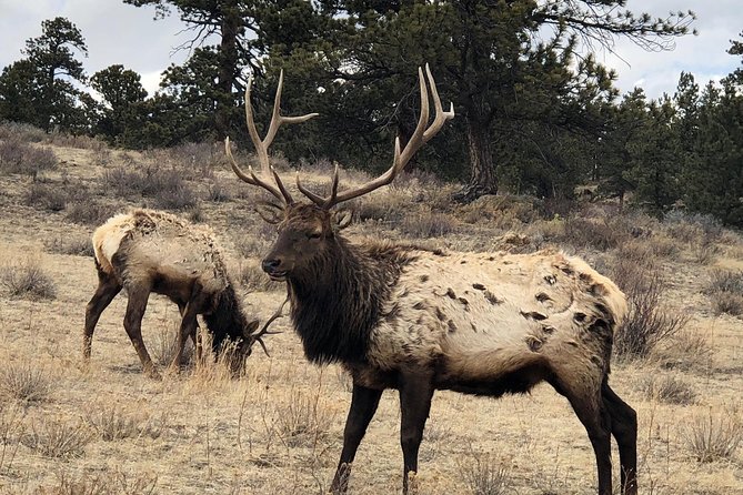 Private Day Tour From Denver to Estes Park and Rocky Mountain National Park - Sum Up