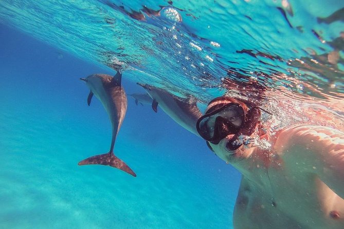 Private Day Tour From Luxor to Red Sea - Booking Information