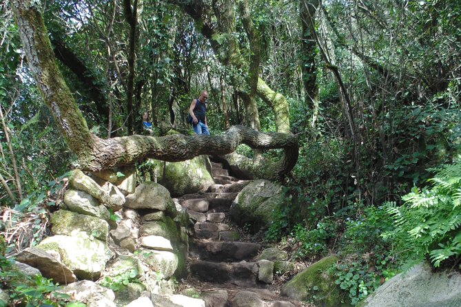 Private Day Tour From the Centre to the Highest Point in Sintra. - Frequently Asked Questions