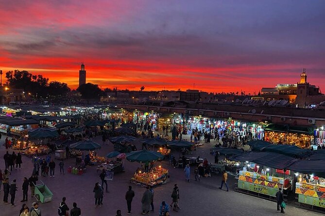 Private Day Trip From Casablanca to Marrakech - Customer Feedback