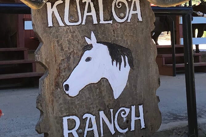 Private Full-Day Circle Island Guided Small-Group up to 6 (Se Habla Español) - Things To Known