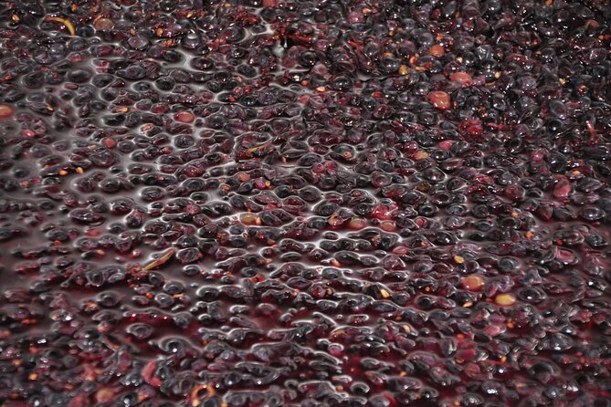 Private Full Day Tour Burgundy Gourmet - The Sum Up
