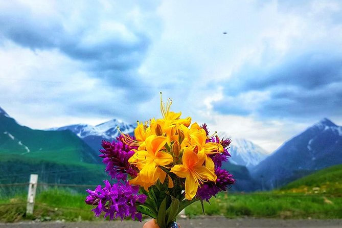 Private Full Day Tour In Kazbegi - Gudauri (Paragliding & Rafting) - Company Background