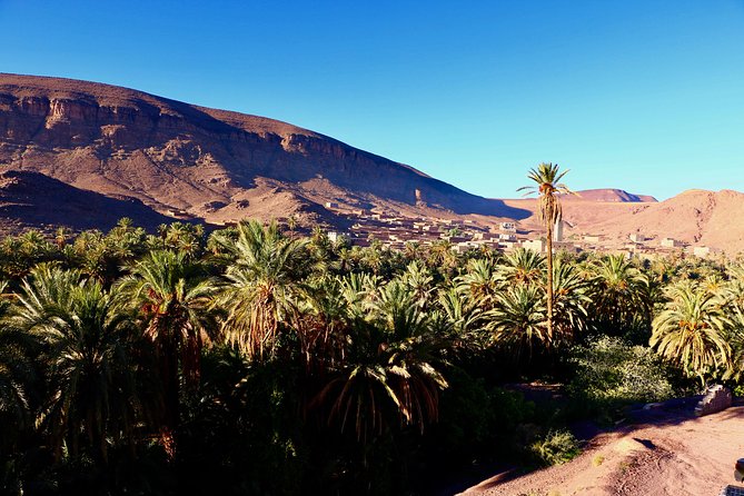 Private Full-Day Tour of Ouarzazate and Oasis Fint - Frequently Asked Questions