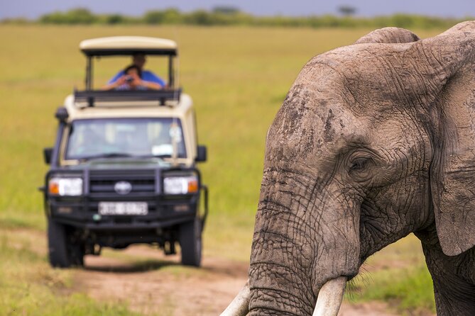 Private Full Day Trip in Lake Manyara National Park - Frequently Asked Questions