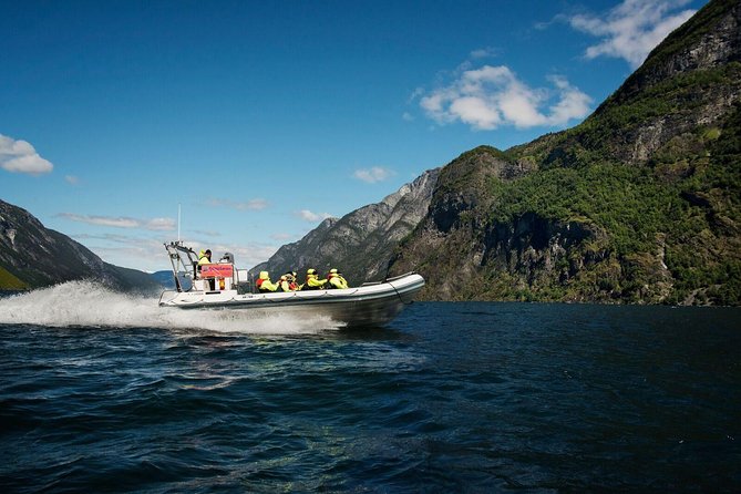 Private Guided Day Tour - RIB Sognefjord Safari and Flåm Railway - Transportation Arrangements