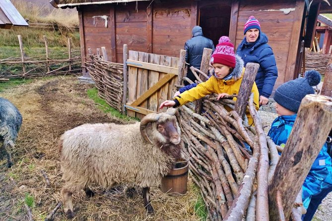 PRIVATE GUIDED TOUR: the Heart of Norway – Viking Special, 8-9 Hours – WINTER - Booking and Cancellation Policy